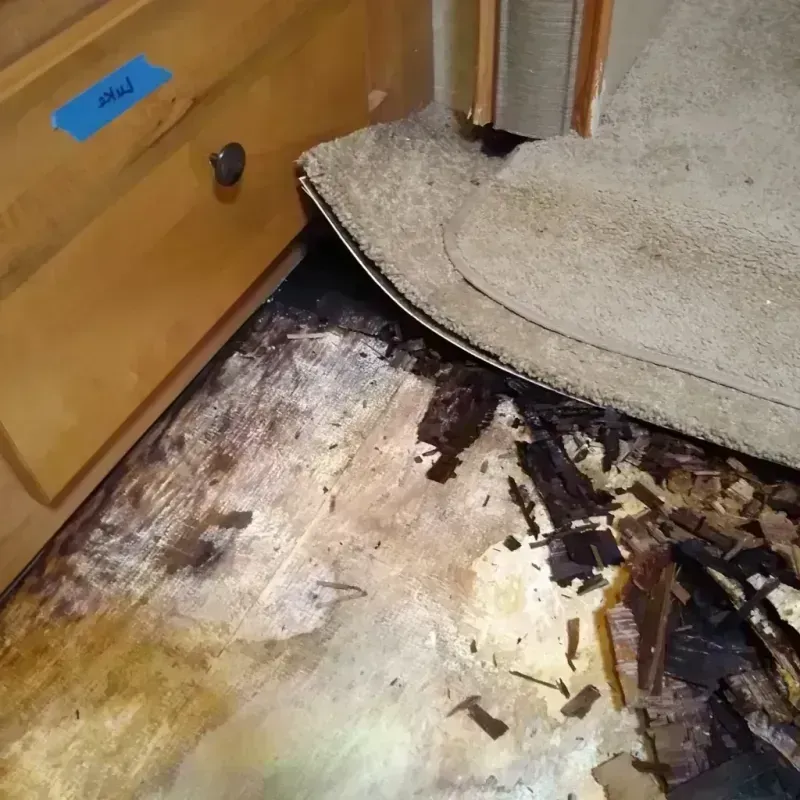 Best Wood Floor Water Damage Service in Gibson City, IL